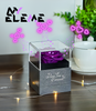 Elemental Love Rose Gift Box