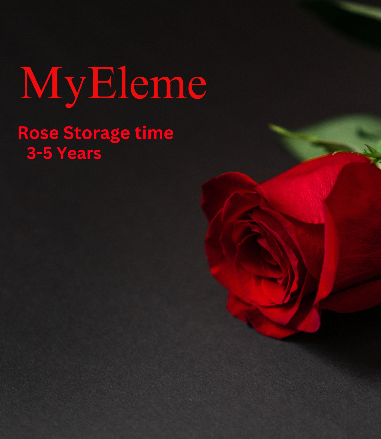 Elemental Love Rose Gift Box