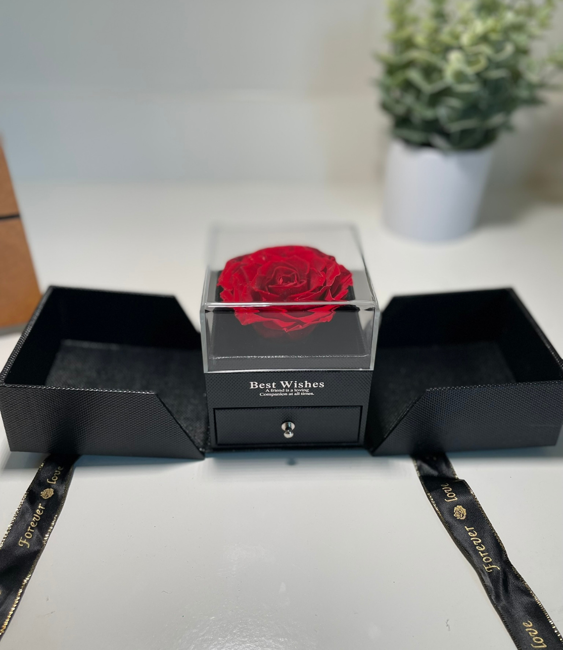 Elemental Love Rose Gift Box